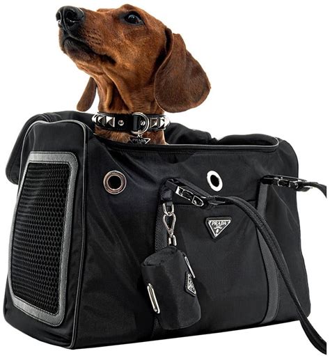 prada hat for dog|Prada leather dog bag.